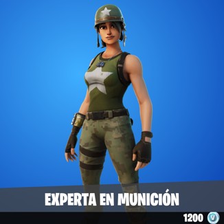 Experta en municin